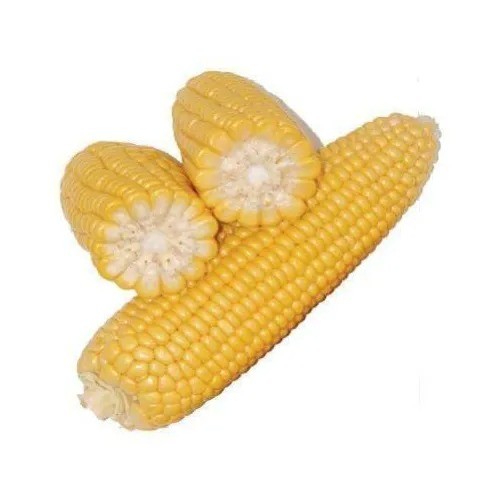 Yellow corn