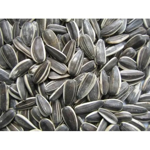 Sunflower Seeds