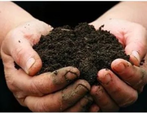 Nitrogen Fertilizer